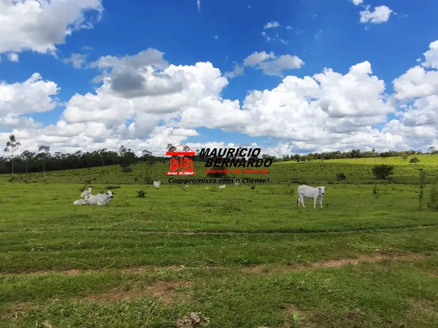 Foto 6 de Fazenda / Haras à venda, 712280m2 em Bofete - SP