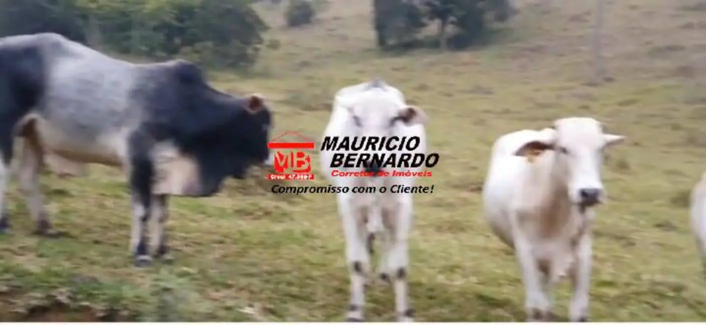 Foto 5 de Fazenda / Haras à venda, 339m2 em Paraibuna - SP