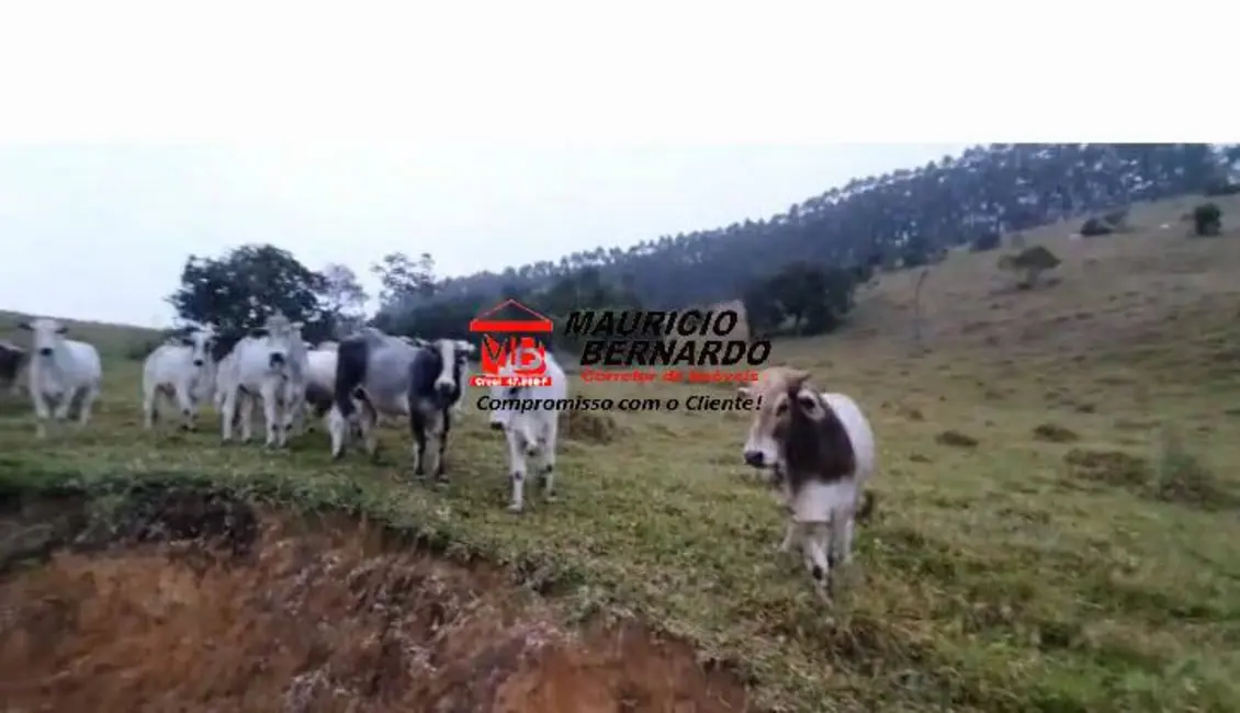 Foto 7 de Fazenda / Haras à venda, 339m2 em Paraibuna - SP