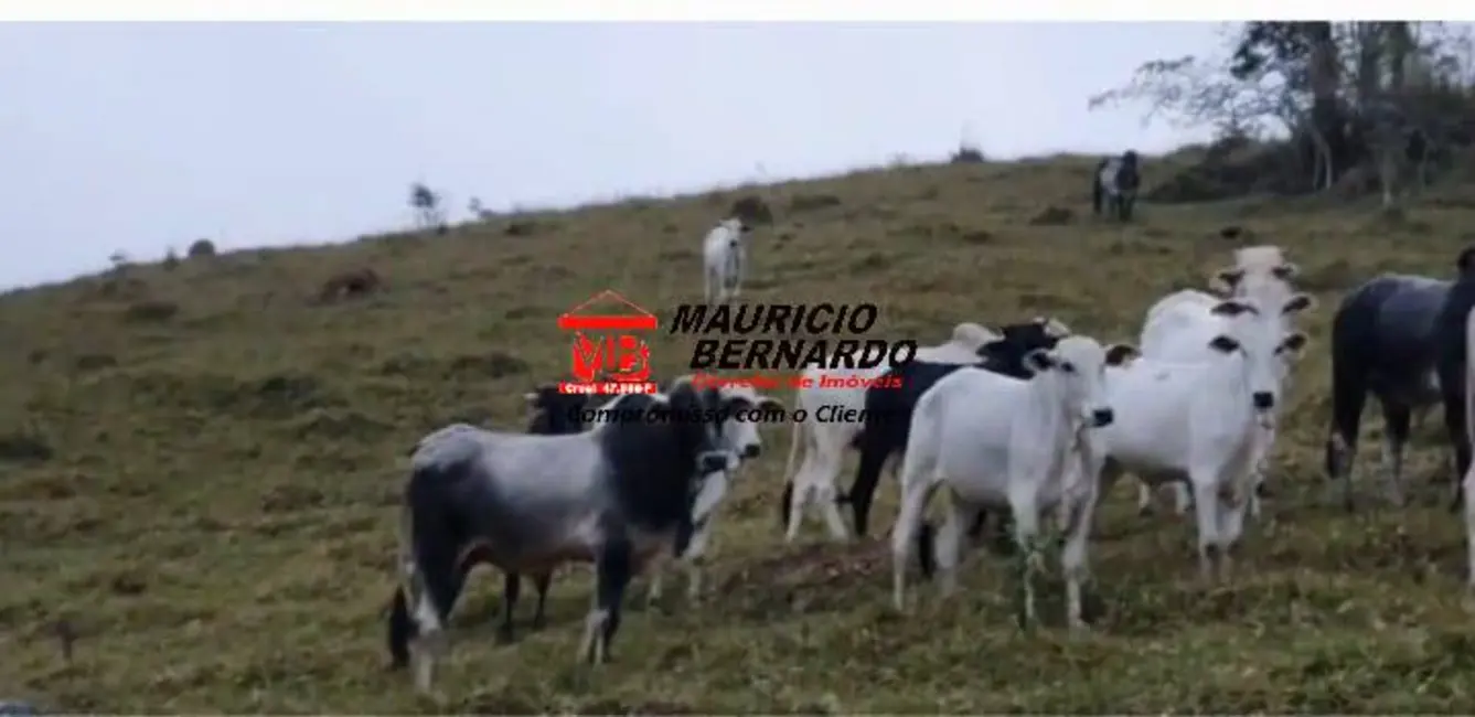 Foto 8 de Fazenda / Haras à venda, 339m2 em Paraibuna - SP