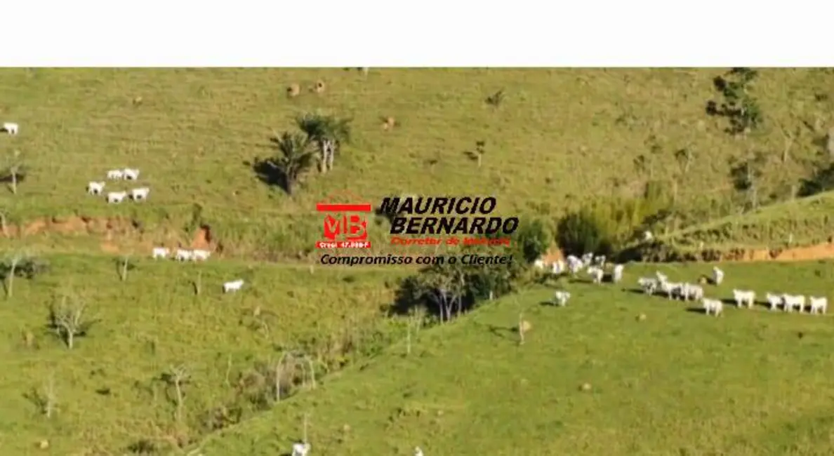Foto 6 de Fazenda / Haras à venda, 339m2 em Paraibuna - SP