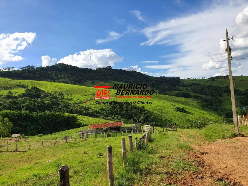Foto 9 de Fazenda / Haras à venda, 145m2 em Munhoz - MG