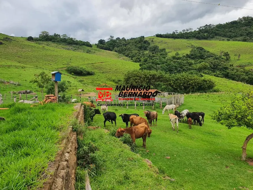 Foto 1 de Fazenda / Haras à venda, 145m2 em Munhoz - MG