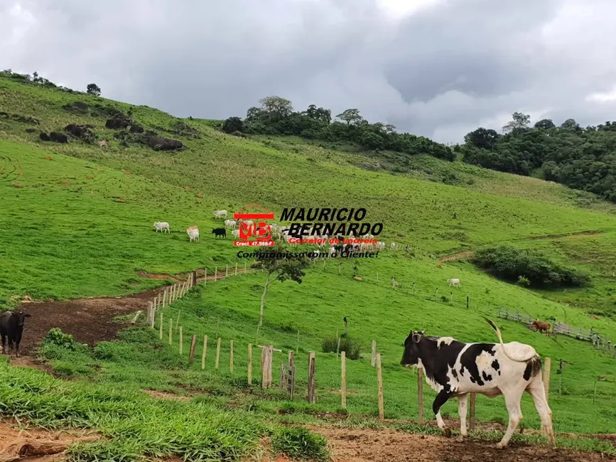 Foto 2 de Fazenda / Haras à venda, 145m2 em Munhoz - MG