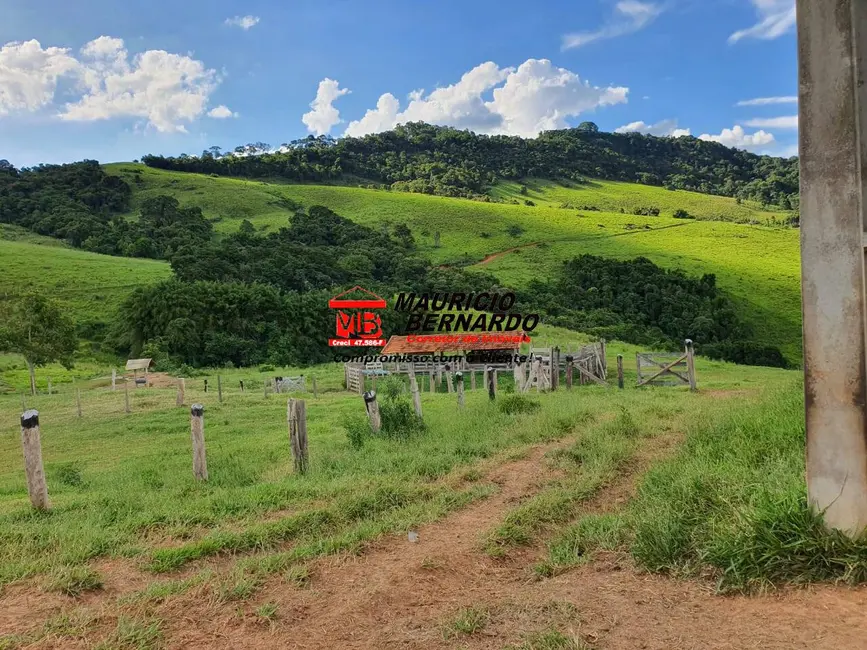 Foto 3 de Fazenda / Haras à venda, 145m2 em Munhoz - MG