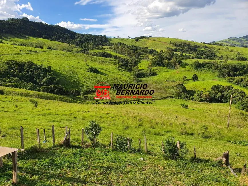 Foto 4 de Fazenda / Haras à venda, 145m2 em Munhoz - MG