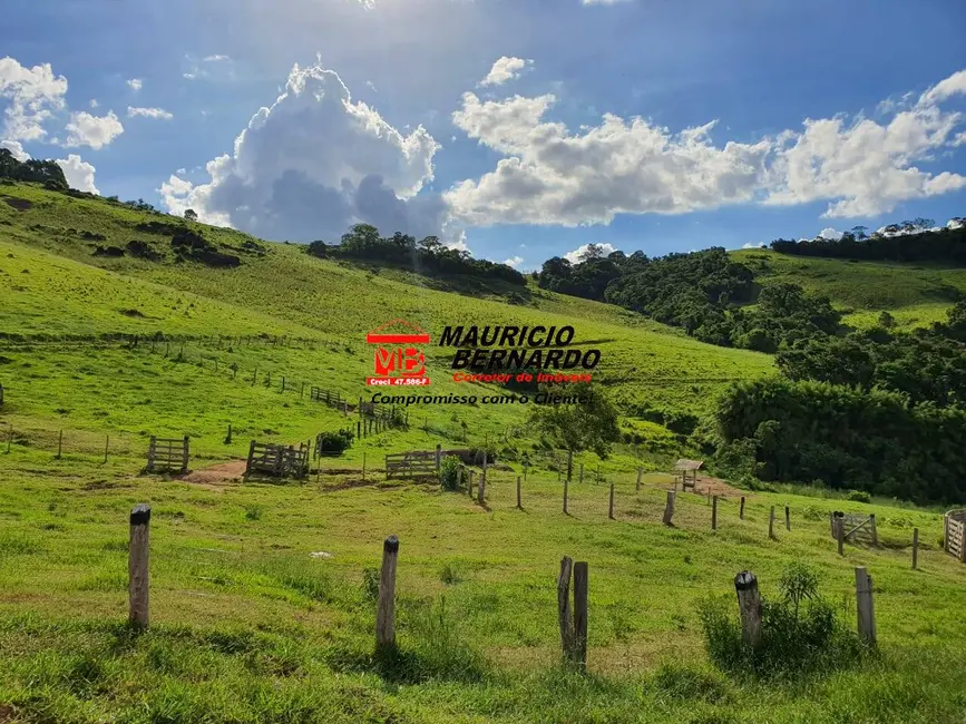 Foto 5 de Fazenda / Haras à venda, 145m2 em Munhoz - MG