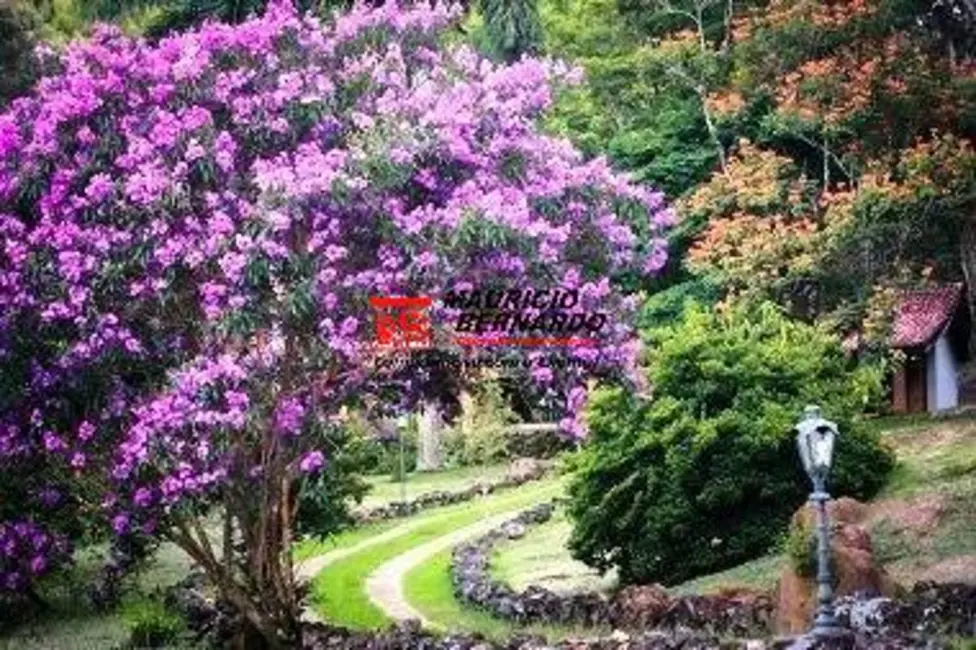 Foto 25 de Sítio / Rancho à venda em Pinhalzinho - SP