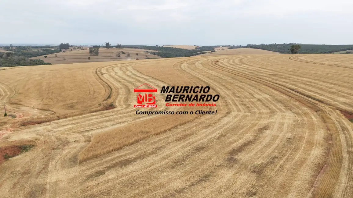 Foto 3 de Fazenda / Haras com 2 quartos à venda, 338m2 em Itapetininga - SP