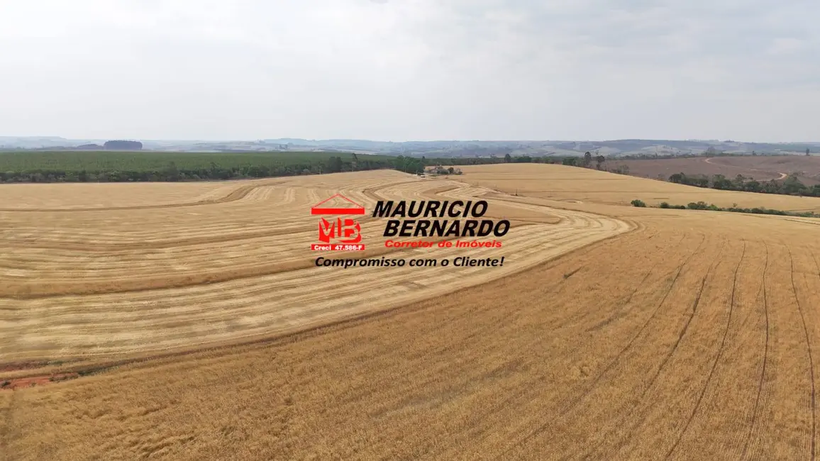 Foto 8 de Fazenda / Haras com 2 quartos à venda, 338m2 em Itapetininga - SP