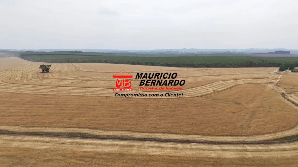 Foto 6 de Fazenda / Haras com 2 quartos à venda, 338m2 em Itapetininga - SP