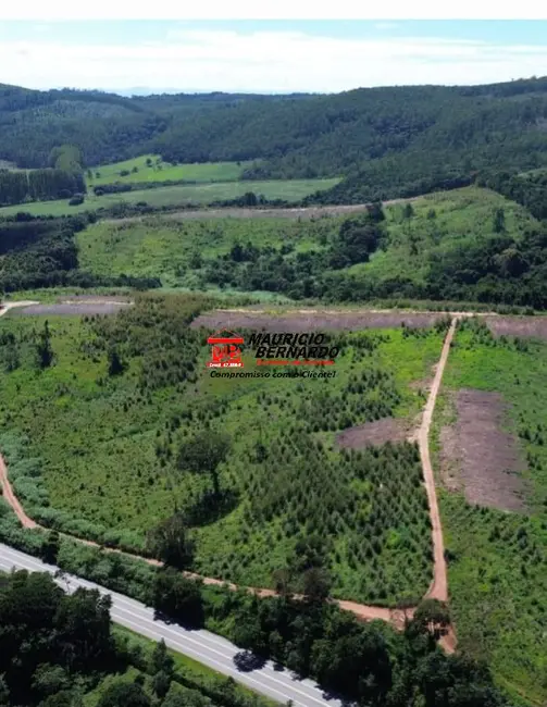 Foto 6 de Fazenda / Haras com 2 quartos à venda, 90m2 em Amparo - SP