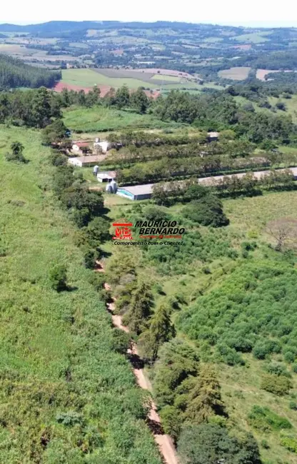 Foto 1 de Fazenda / Haras com 2 quartos à venda, 90m2 em Amparo - SP