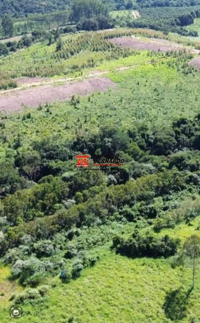 Foto 7 de Fazenda / Haras com 2 quartos à venda, 90m2 em Amparo - SP