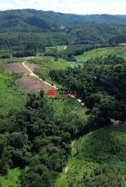 Foto 9 de Fazenda / Haras com 2 quartos à venda, 90m2 em Amparo - SP