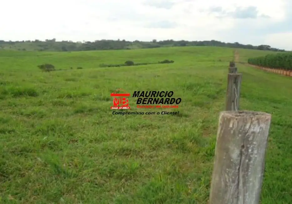 Foto 3 de Fazenda / Haras à venda, 261m2 em Santo Antonio De Posse - SP