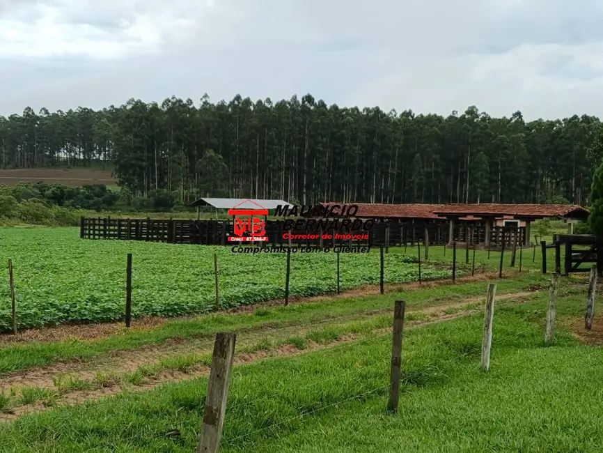 Foto 5 de Fazenda / Haras com 6 quartos à venda, 75m2 em Tatui - SP