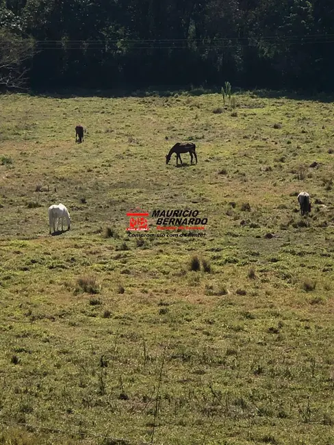 Foto 7 de Sítio / Rancho à venda em Jaguariuna - SP
