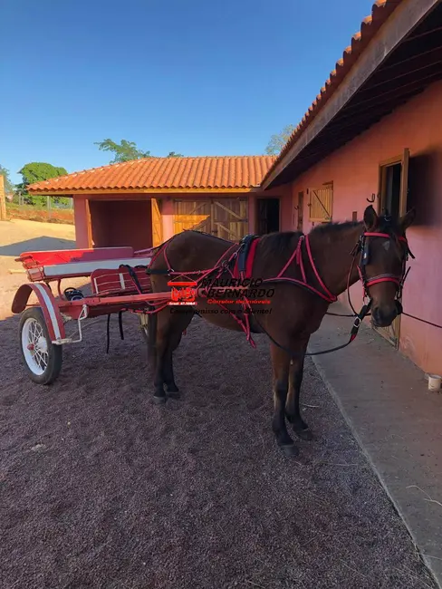 Foto 15 de Sítio / Rancho à venda em Jaguariuna - SP