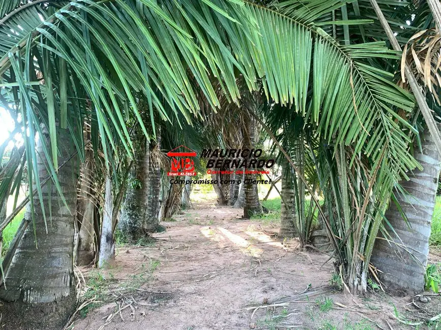 Foto 4 de Fazenda / Haras à venda, 56m2 em Marilia - SP
