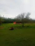Imagem 6