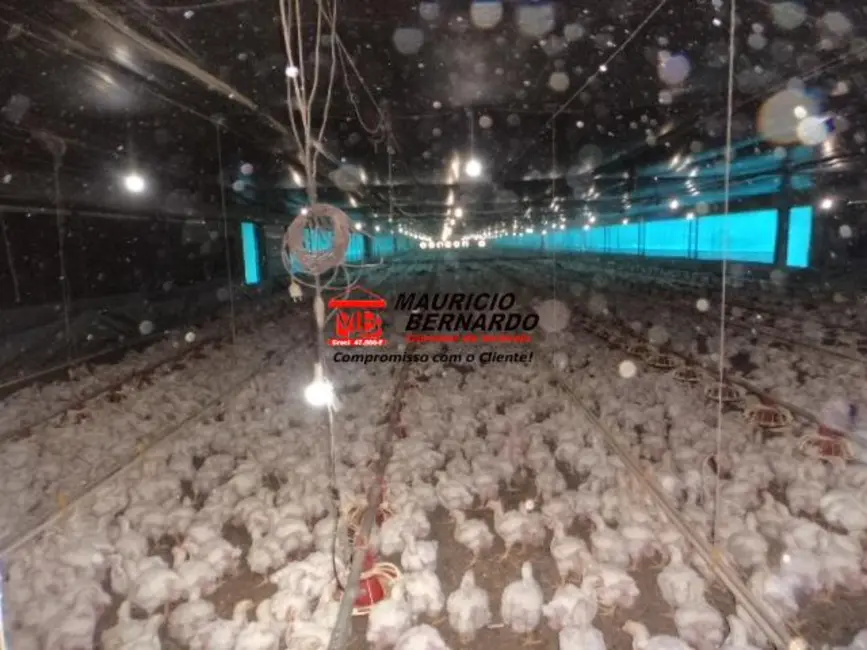 Foto 2 de Sítio / Rancho com 3 quartos à venda, 9m2 em Braganca Paulista - SP