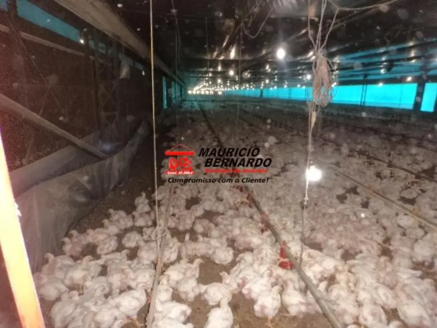 Foto 6 de Sítio / Rancho com 3 quartos à venda, 9m2 em Braganca Paulista - SP