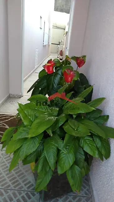 Foto 3 de Casa com 3 quartos à venda, 151m2 em Vila Bela, São Paulo - SP