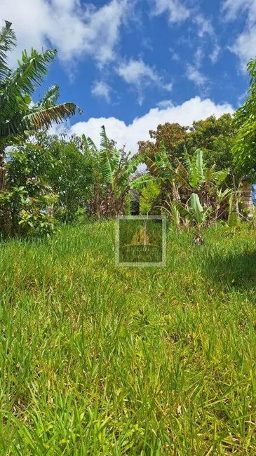 Foto 5 de Terreno / Lote à venda, 2600m2 em Centro, Jambeiro - SP