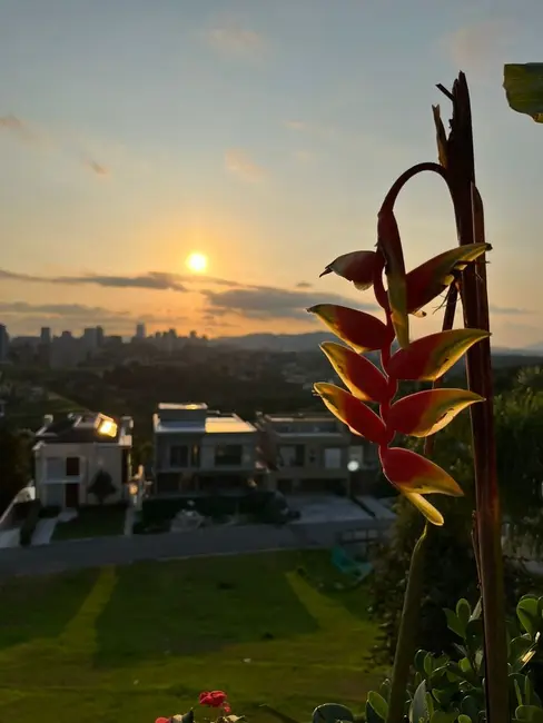 Foto 3 de Casa de Condomínio com 4 quartos à venda, 575m2 em Centro Comercial Jubran, Barueri - SP