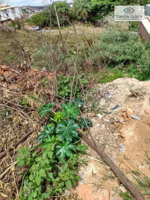 Foto 3 de Terreno / Lote à venda, 250m2 em Liberdade, Santa Luzia - MG