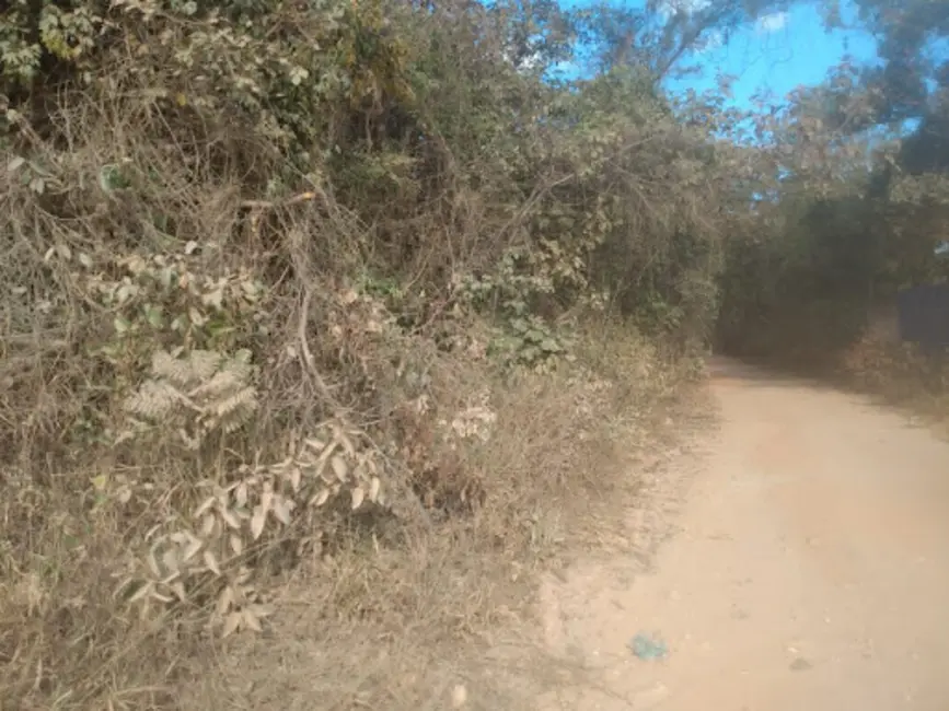 Foto 9 de Sítio / Rancho com 3 quartos à venda, 2220m2 em Taquaracu De Minas - MG