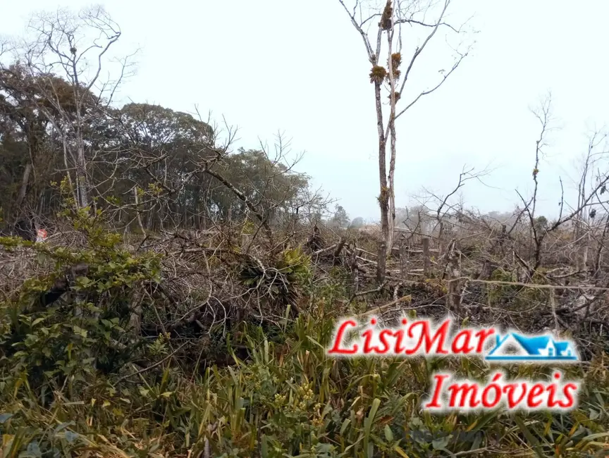 Foto 5 de Terreno / Lote à venda, 410m2 em Itapoa - SC