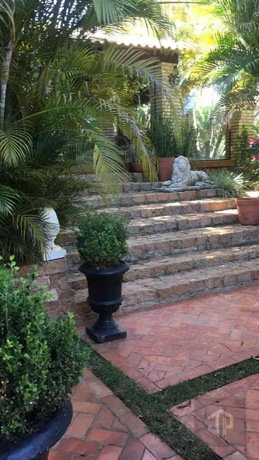 Foto 6 de Casa com 3 quartos à venda, 5000m2 em Chácara Bela Vista, Sao Jose Do Rio Preto - SP