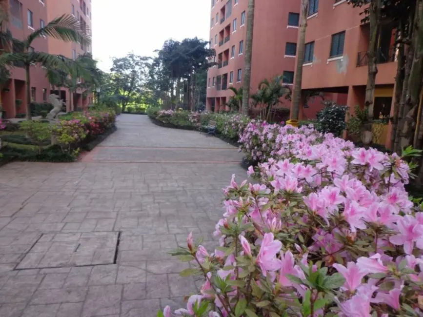 Foto 1 de Apartamento com 2 quartos à venda, 54m2 em Jardim Consórcio, São Paulo - SP