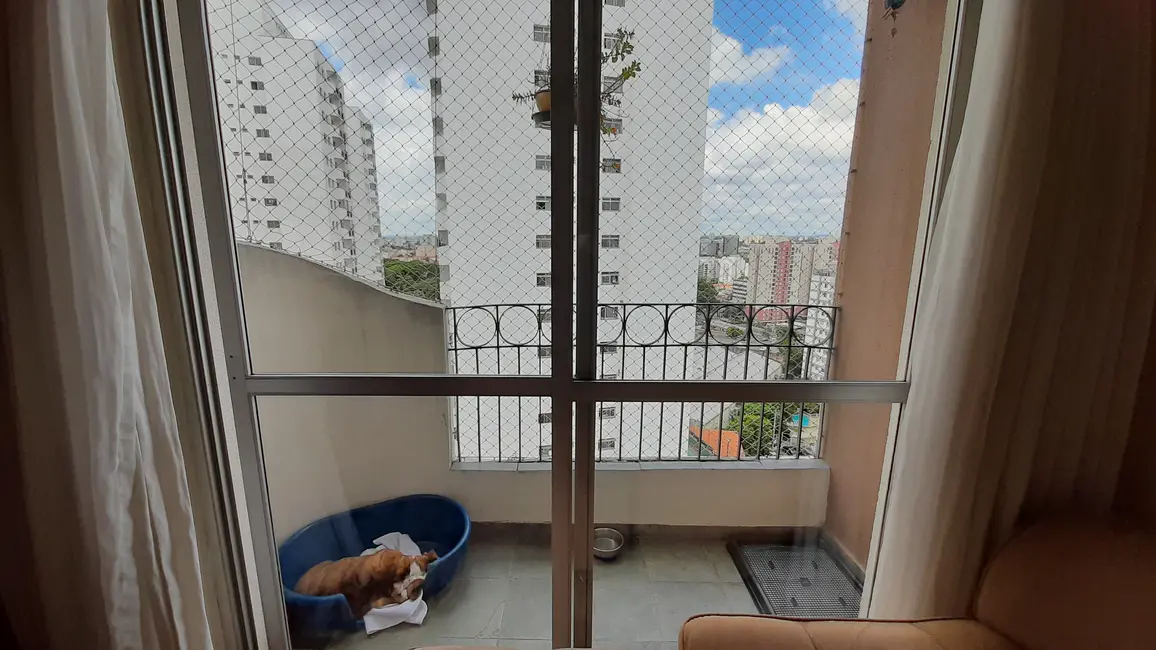 Foto 5 de Apartamento com 2 quartos à venda, 64m2 em Jardim Marajoara, São Paulo - SP