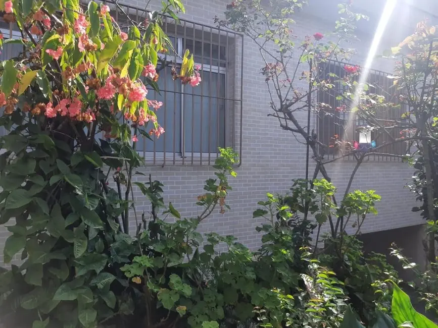 Foto 5 de Casa com 2 quartos à venda, 129m2 em Jardim Consórcio, São Paulo - SP