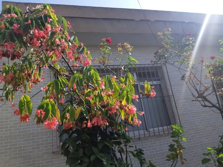 Foto 3 de Casa com 2 quartos à venda, 129m2 em Jardim Consórcio, São Paulo - SP