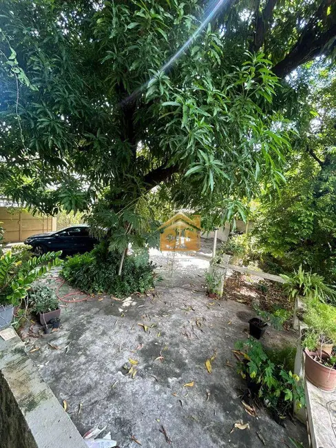 Foto 5 de Casa com 3 quartos para alugar, 600m2 em Baiminas, Cachoeiro De Itapemirim - ES