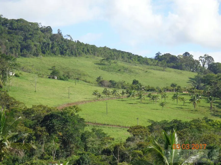 Foto 2 de Fazenda / Haras à venda, 275m2 em Marau - BA