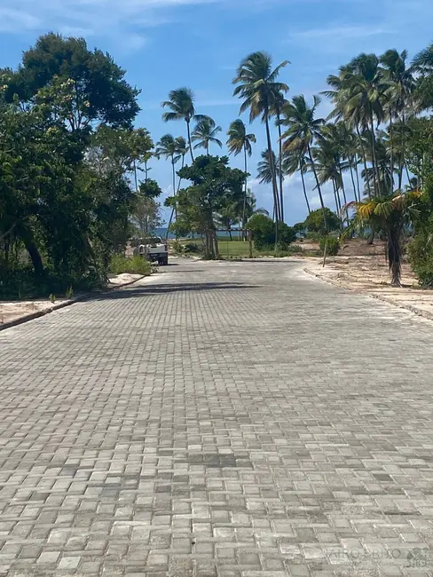 Foto 9 de Terreno / Lote à venda, 585m2 em Marau - BA