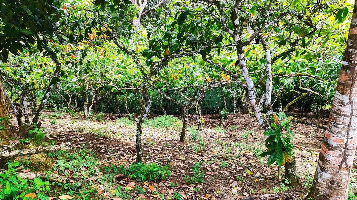 Fazenda / Haras com 6 quartos à venda, 196m2 em Nossa Senhora da Vitória, Ilheus - BA - imagem 8 Foto 8 de Fazenda / Haras com 6 quartos à venda, 196m2 em Nossa Senhora da Vitória, Ilheus - BA