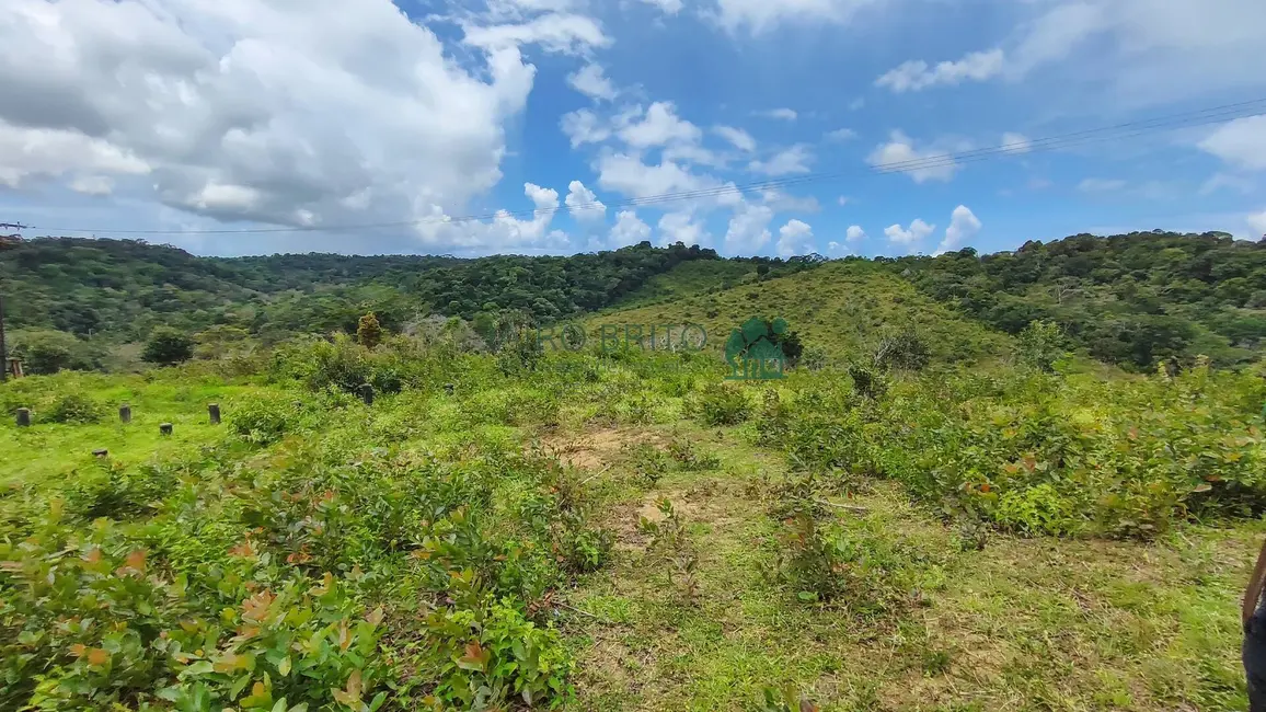 Fazenda / Haras com 6 quartos à venda, 196m2 em Nossa Senhora da Vitória, Ilheus - BA - imagem 6 Foto 6 de Fazenda / Haras com 6 quartos à venda, 196m2 em Nossa Senhora da Vitória, Ilheus - BA