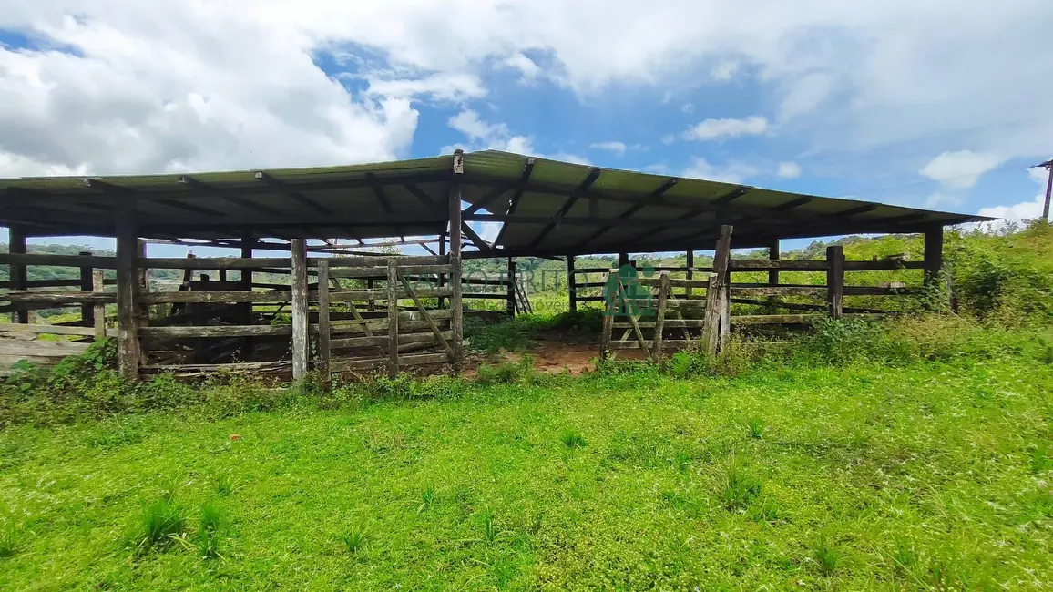 Fazenda / Haras com 6 quartos à venda, 196m2 em Nossa Senhora da Vitória, Ilheus - BA - imagem 7 Foto 7 de Fazenda / Haras com 6 quartos à venda, 196m2 em Nossa Senhora da Vitória, Ilheus - BA