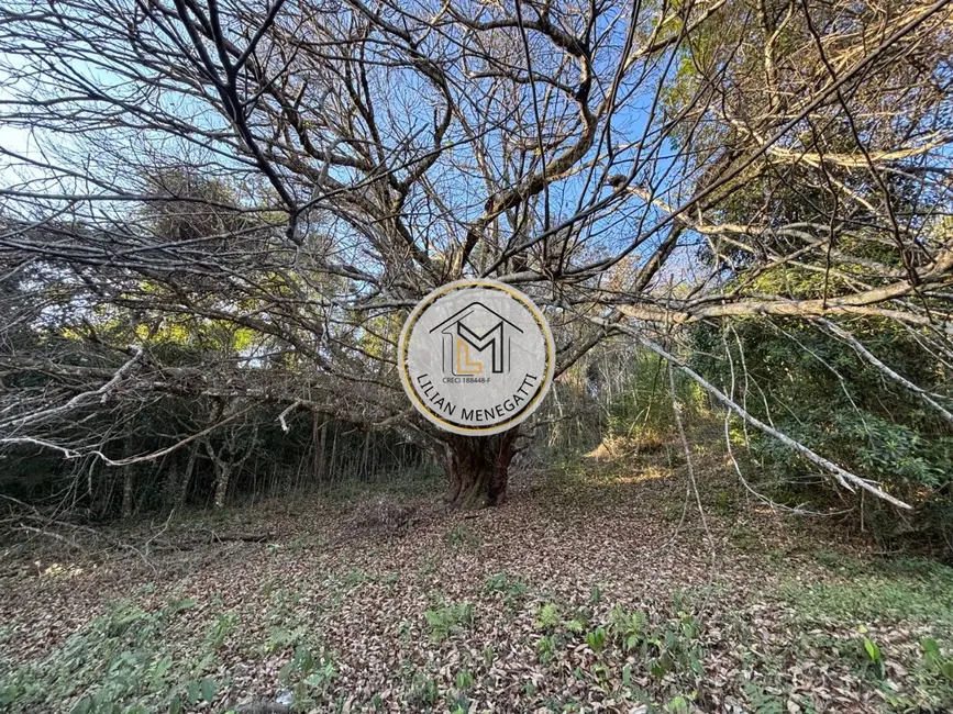 Foto 2 de Sítio / Rancho com 12 quartos à venda, 99162m2 em Chácara São João, Campo Limpo Paulista - SP