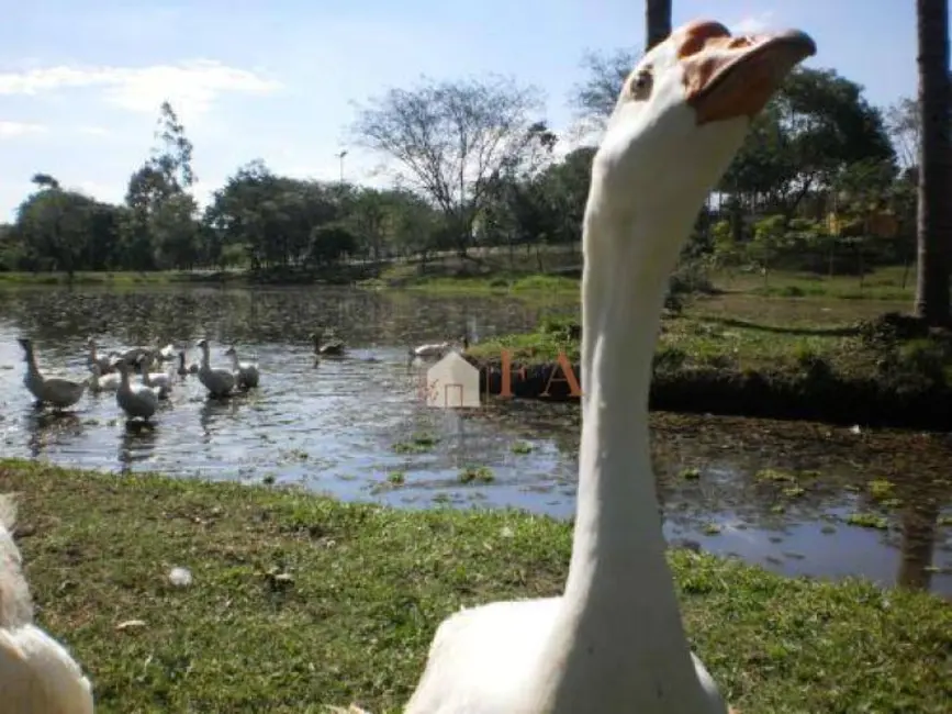 Foto 6 de Terreno / Lote à venda, 1000m2 em Colinas do Piracicaba (Ártemis), Piracicaba - SP