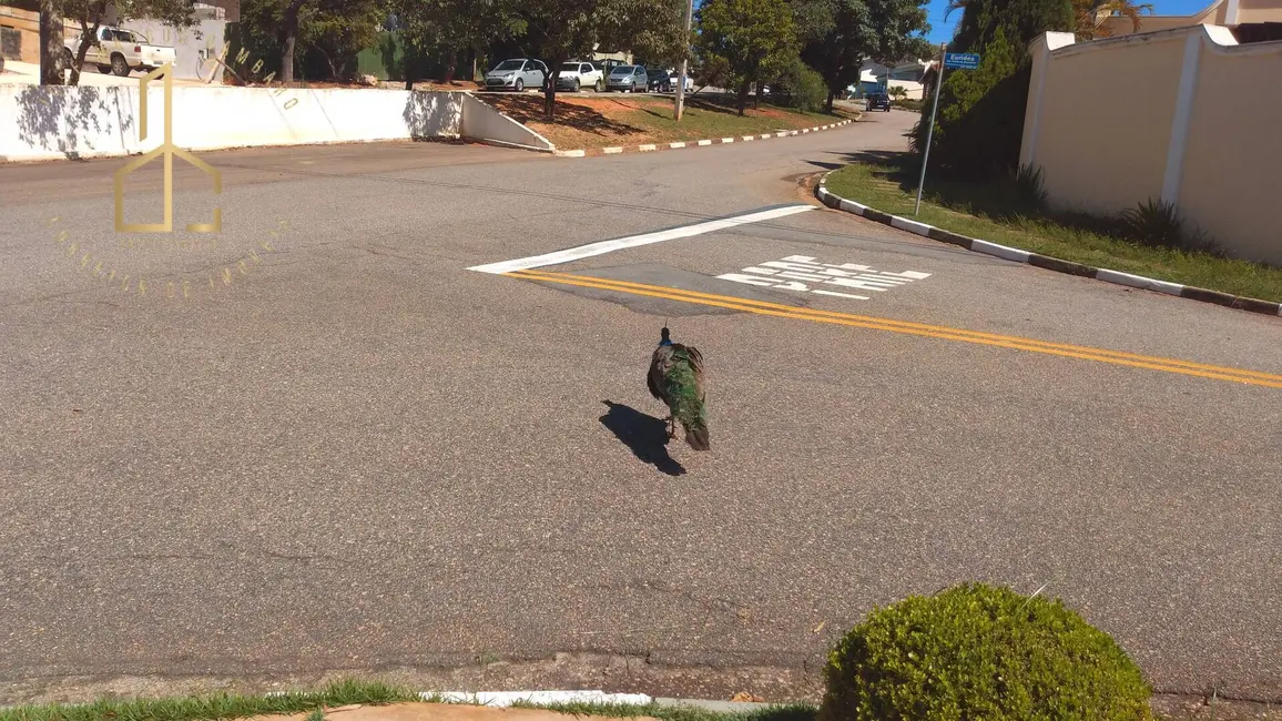 Foto 8 de Casa de Condomínio com 4 quartos para alugar, 510m2 em Jardim Ibiti do Paço, Sorocaba - SP