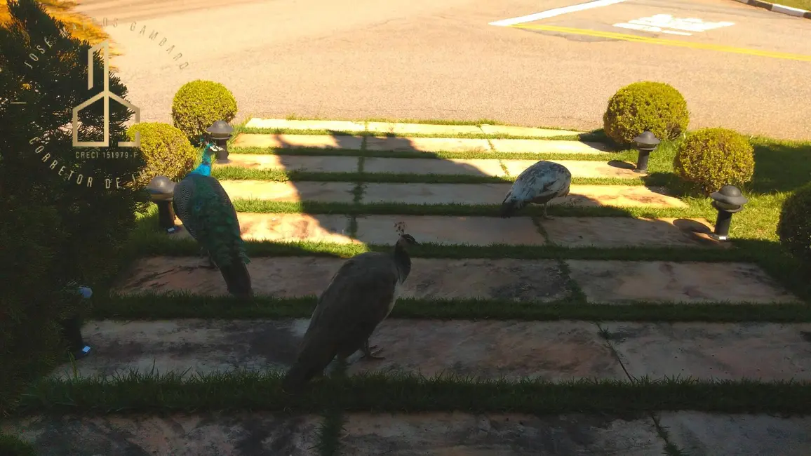 Foto 3 de Casa de Condomínio com 4 quartos para alugar, 510m2 em Jardim Ibiti do Paço, Sorocaba - SP