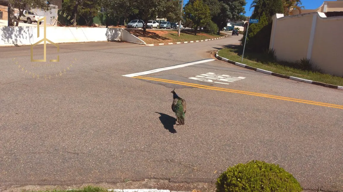 Foto 7 de Casa de Condomínio com 4 quartos para alugar, 510m2 em Jardim Ibiti do Paço, Sorocaba - SP