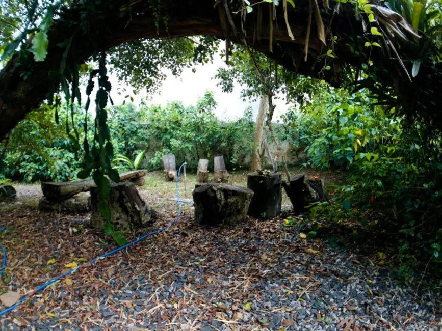 Foto 5 de Sala Comercial com 3 quartos à venda, 242m2 em Lagoa da Conceição, Florianopolis - SC